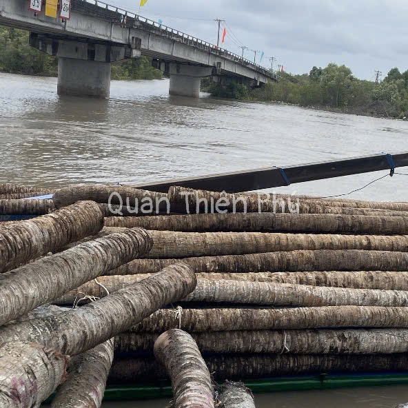 Cừ dừa